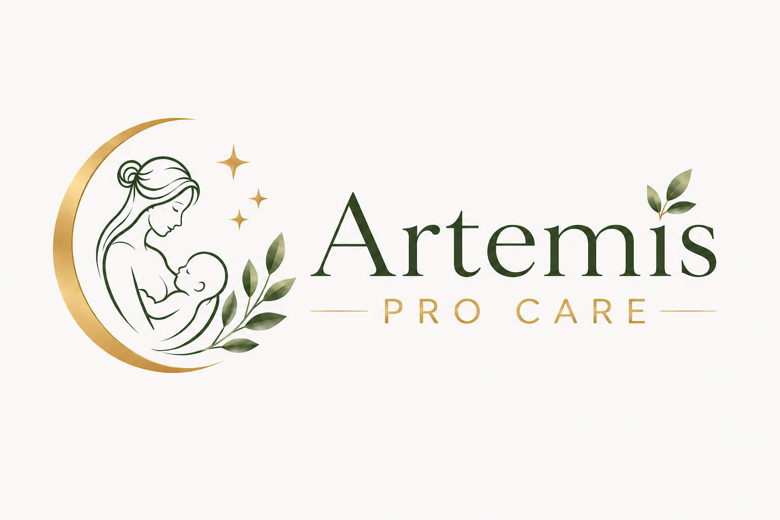 Artemis Pro Care